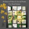 30 Days of St. Patrick’s Day & March Social Media Posts | Fully Editable Templates