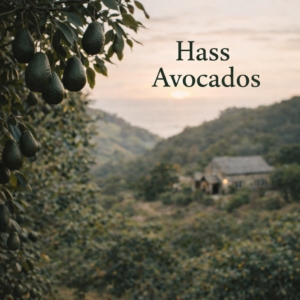 Hass Avocados