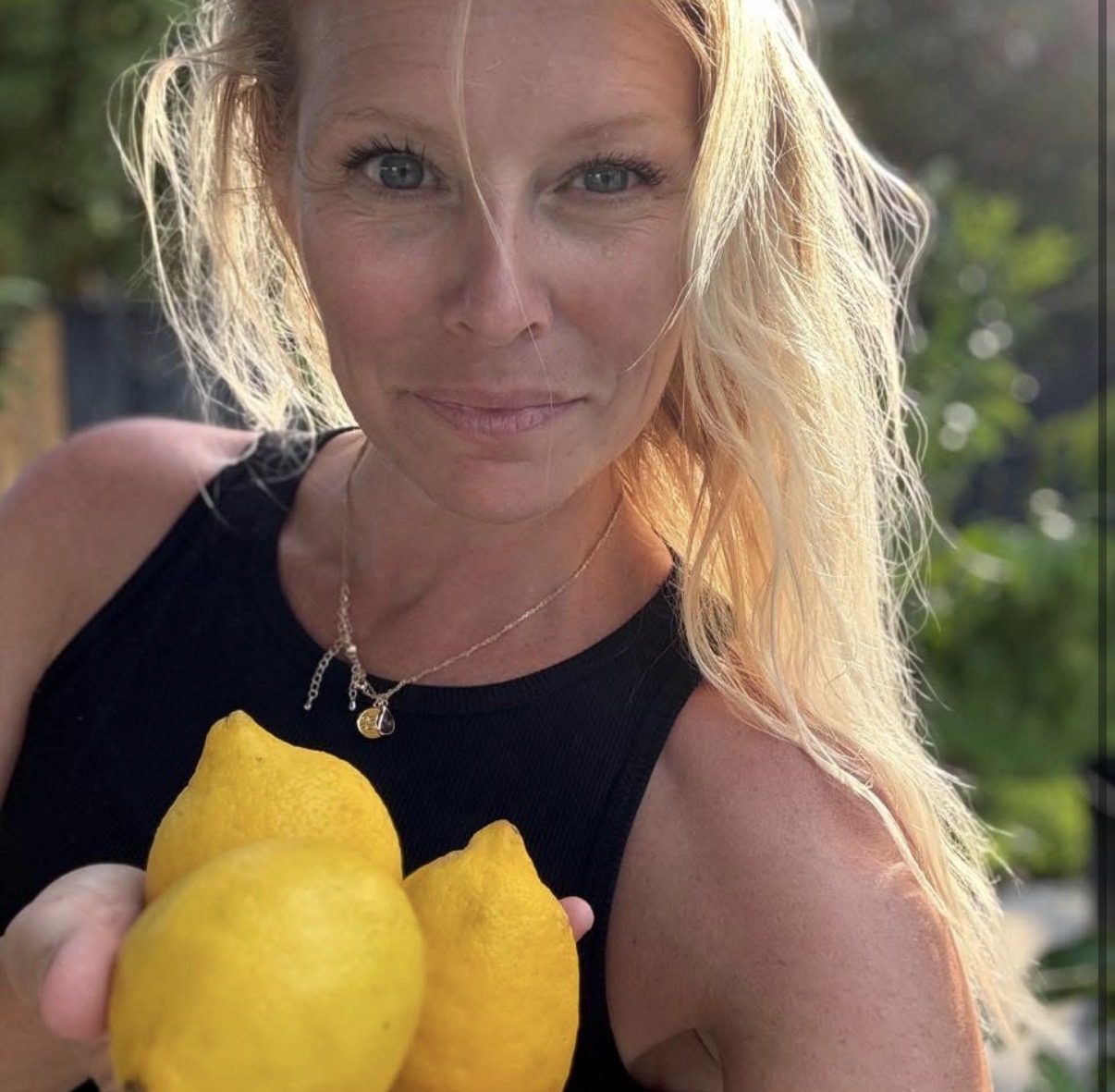 🍋Improved Meyer Lemon Tree - Image 7